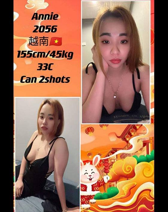 Discreet escort near Canning Garden and Bercham